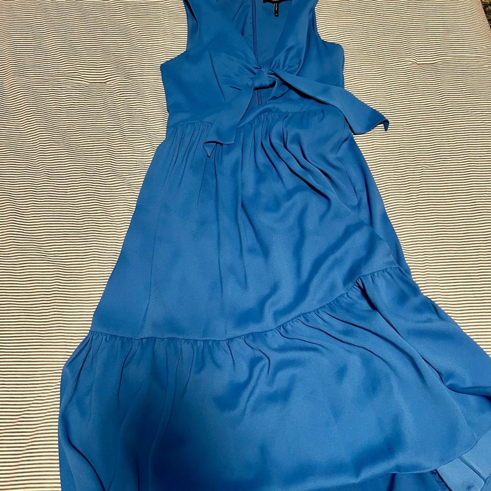 BCBGMaxAzria Sky Blue Sleeveless Maxi Dress